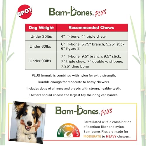 SPOT Bam-Bones Plus Branch -Bamboo Fiber & Nylon, Durable Long Lasting Dog Chew for Aggressive Chewers – Great Toy for Adult Dogs & Teething Puppies Under 60lbs, Non-Splintering, 5.75in, Beef Flavor