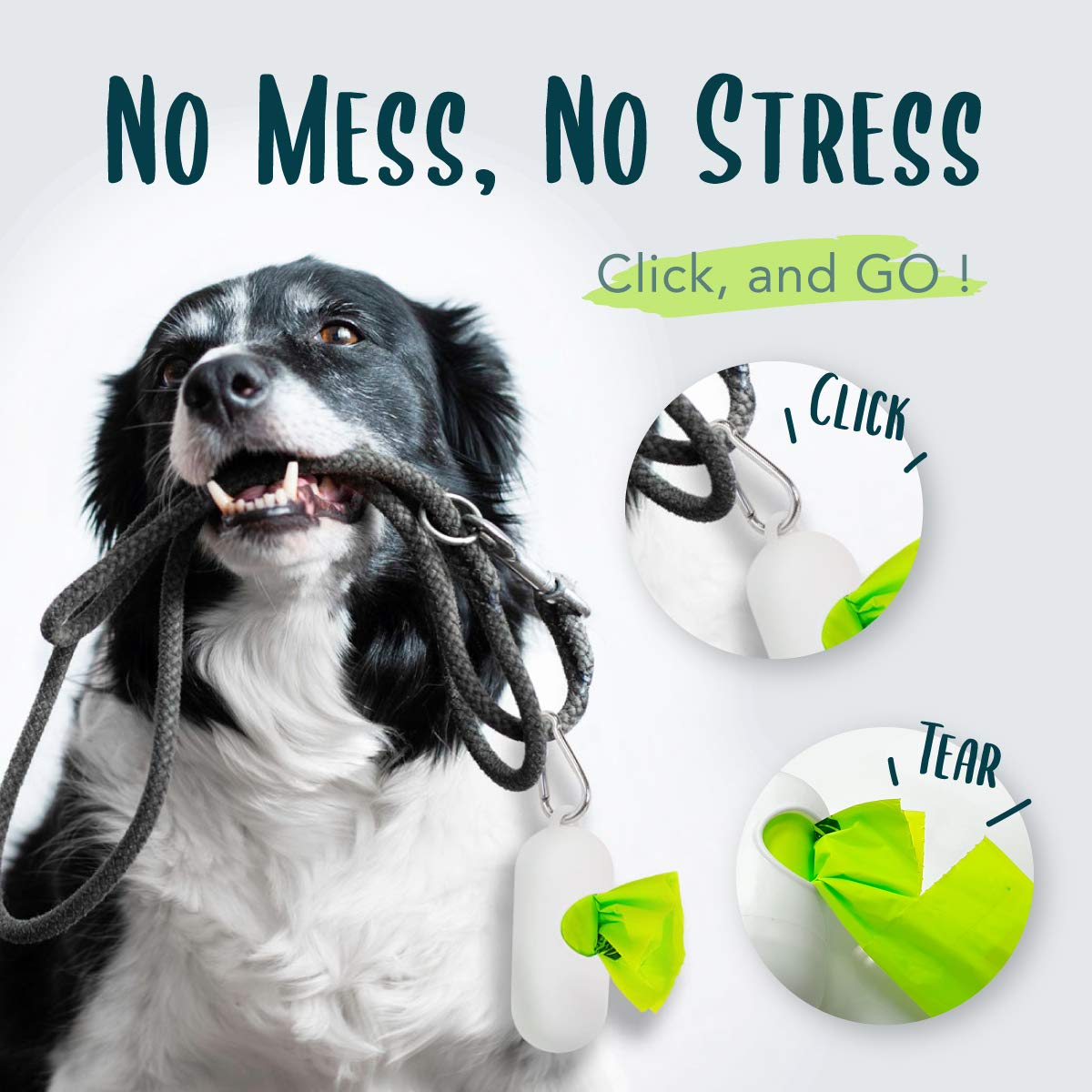 moonygreen Certified Compostable Dog Poop Bag Rolls, Landfill friendly Doggie Poop Bags, Vegetable-Based, ASTM D6400, Unscented, Extra Thick, Leak Proof, Size 9 x 13 Inches, Refills 240 Counts