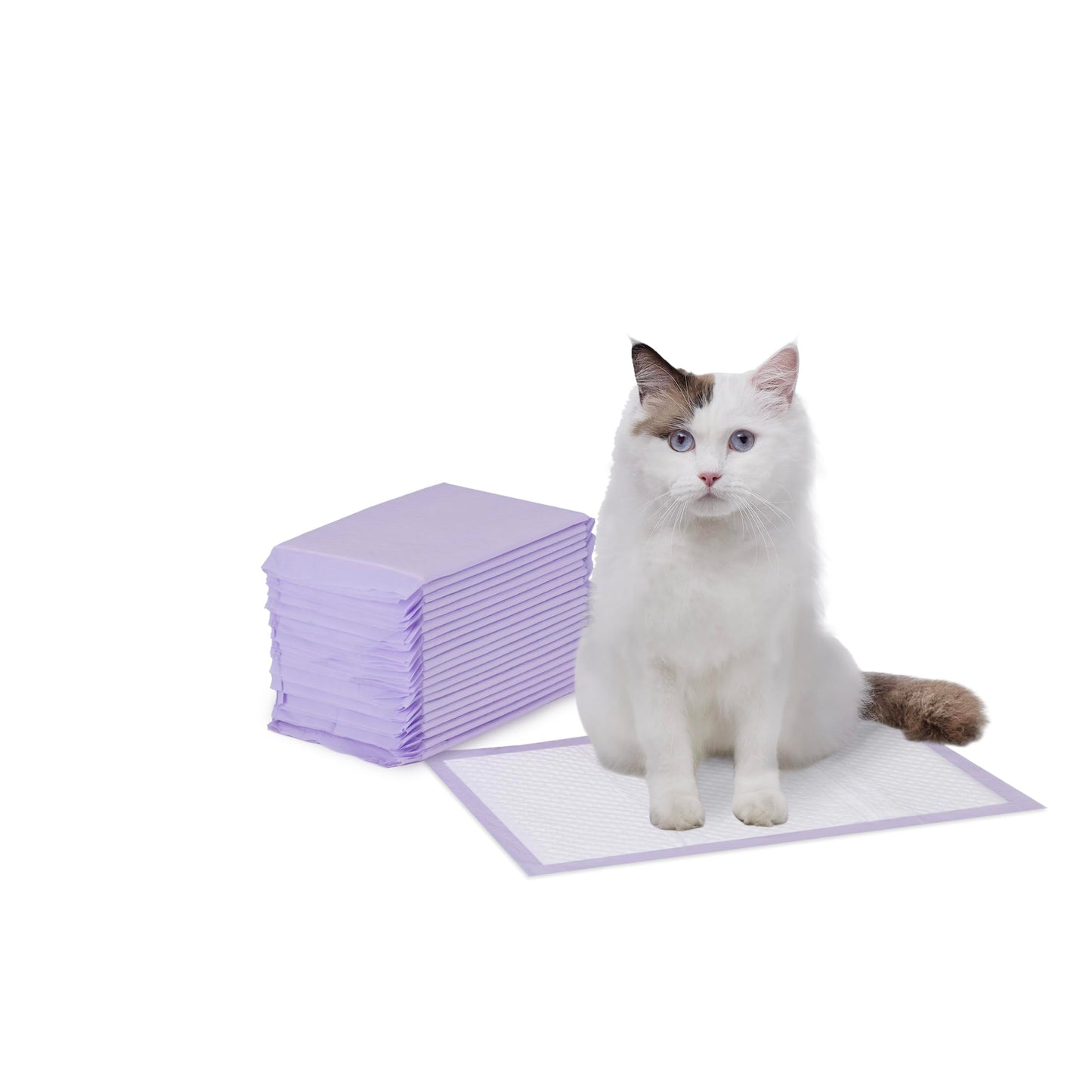 Amazon Basics Cat Litters Pee Pads, 20 Count, Universal Fit for Litter Box, Odor Control, Unscented, Purple and White