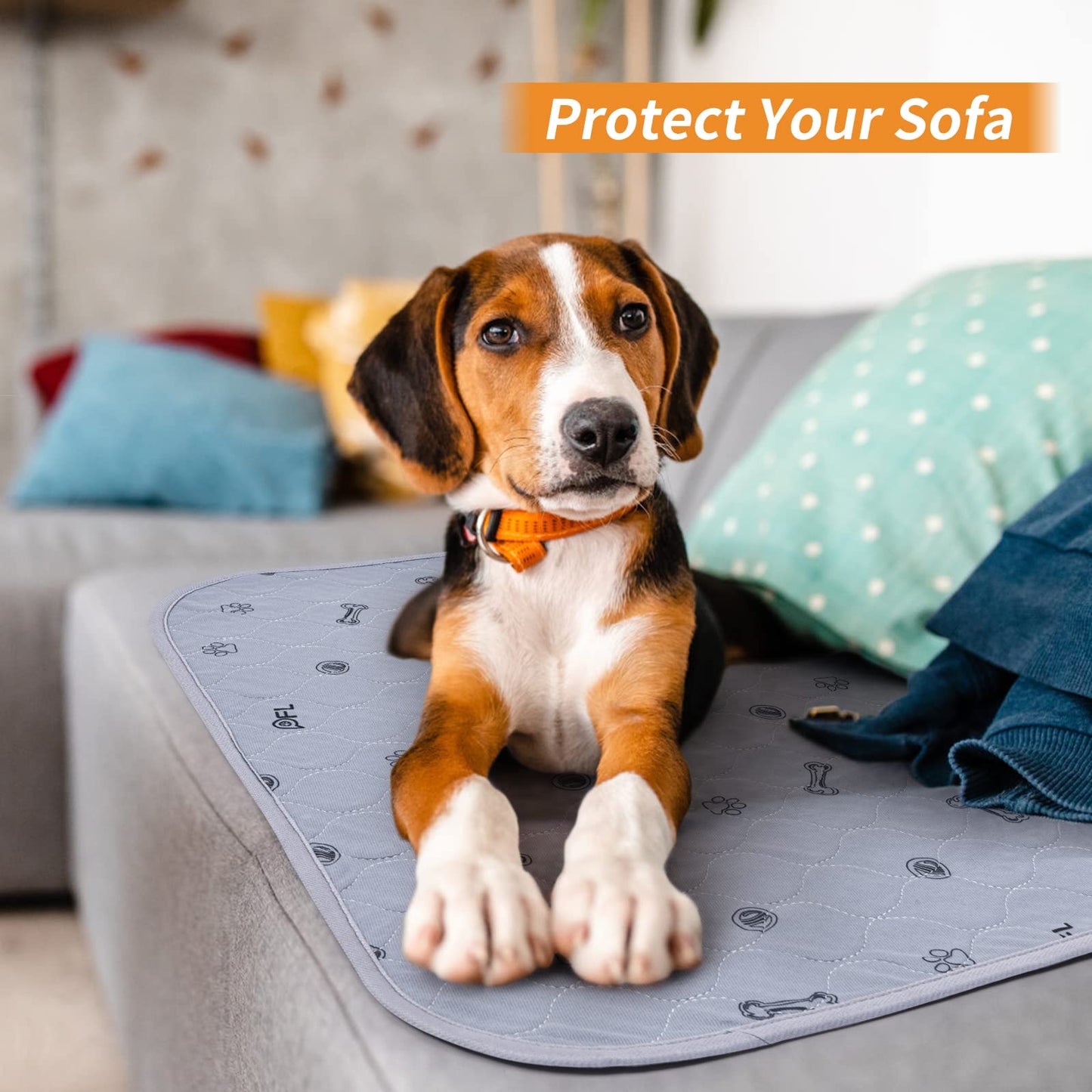 Washable Pee Pads for Dogs, 2Pack Puppy Pads Washable with Bone Print,Absorbent Reusable Whelping Pads Non-Slip Dog Mats for Floor Protector, Couch Cover, Crate, Potty Training 31x36