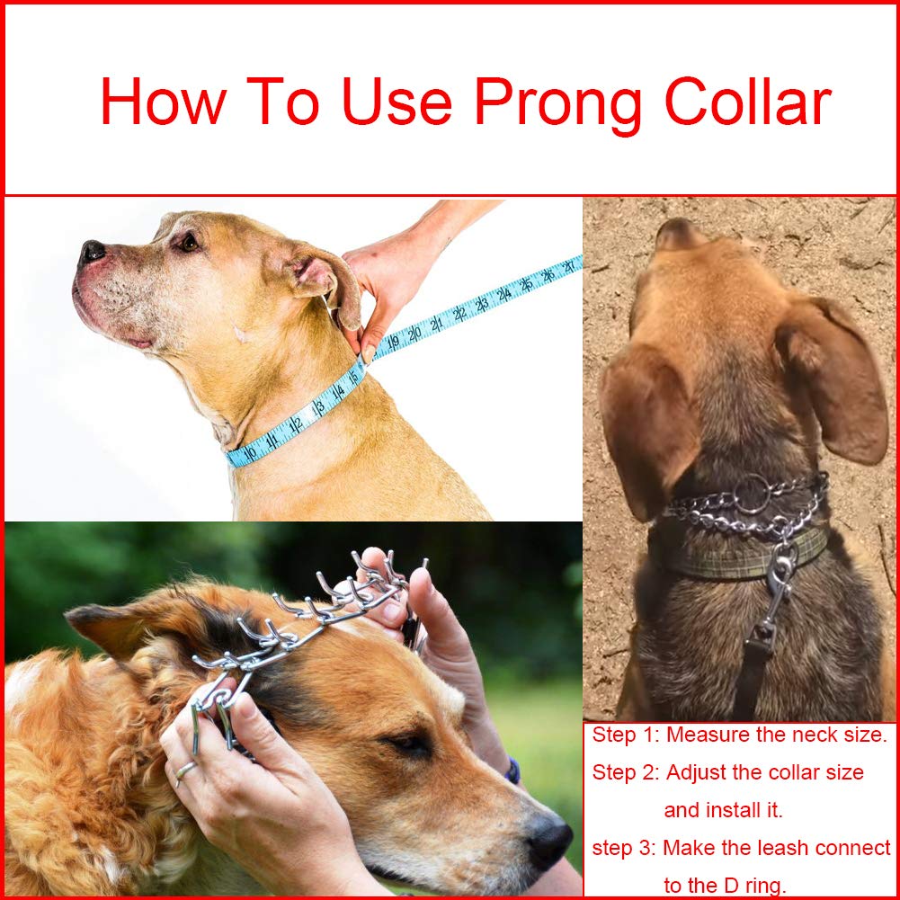 Aheasoun Prong Collars for Dogs, No Pull Dog Collar, Dog Training Collar for Large Medium Small Dogs, Stainless Steel Adjustable with Comfort Rubber Tips (Large, 4.0mm, 23.6-Inch)
