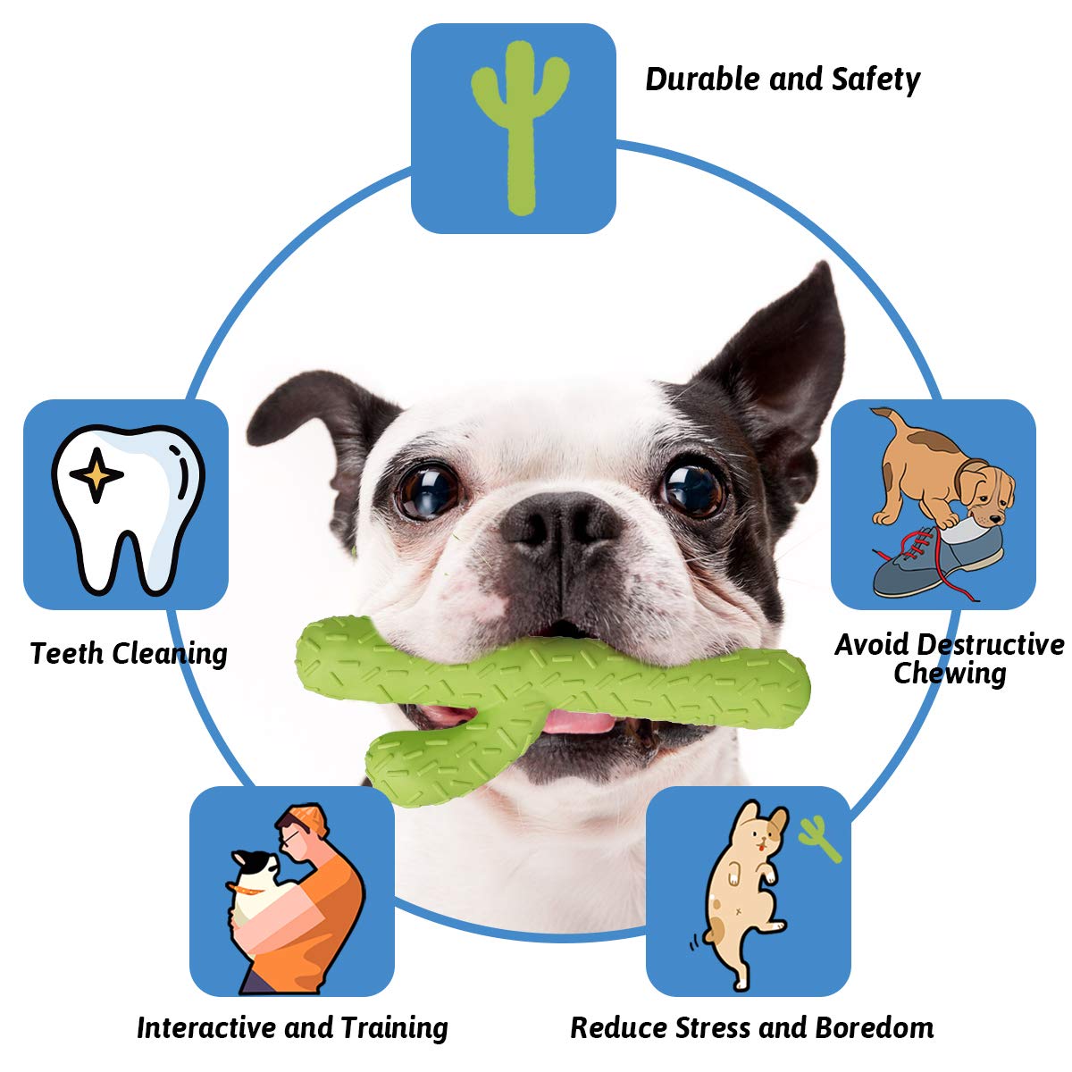 MewaJump Dog Chew Toys for Aggressive Chewers, Durable Rubber Cactus Tough Toys for Training and Cleaning Teeth, Interactive Dog Toys for Small/Medium Dog