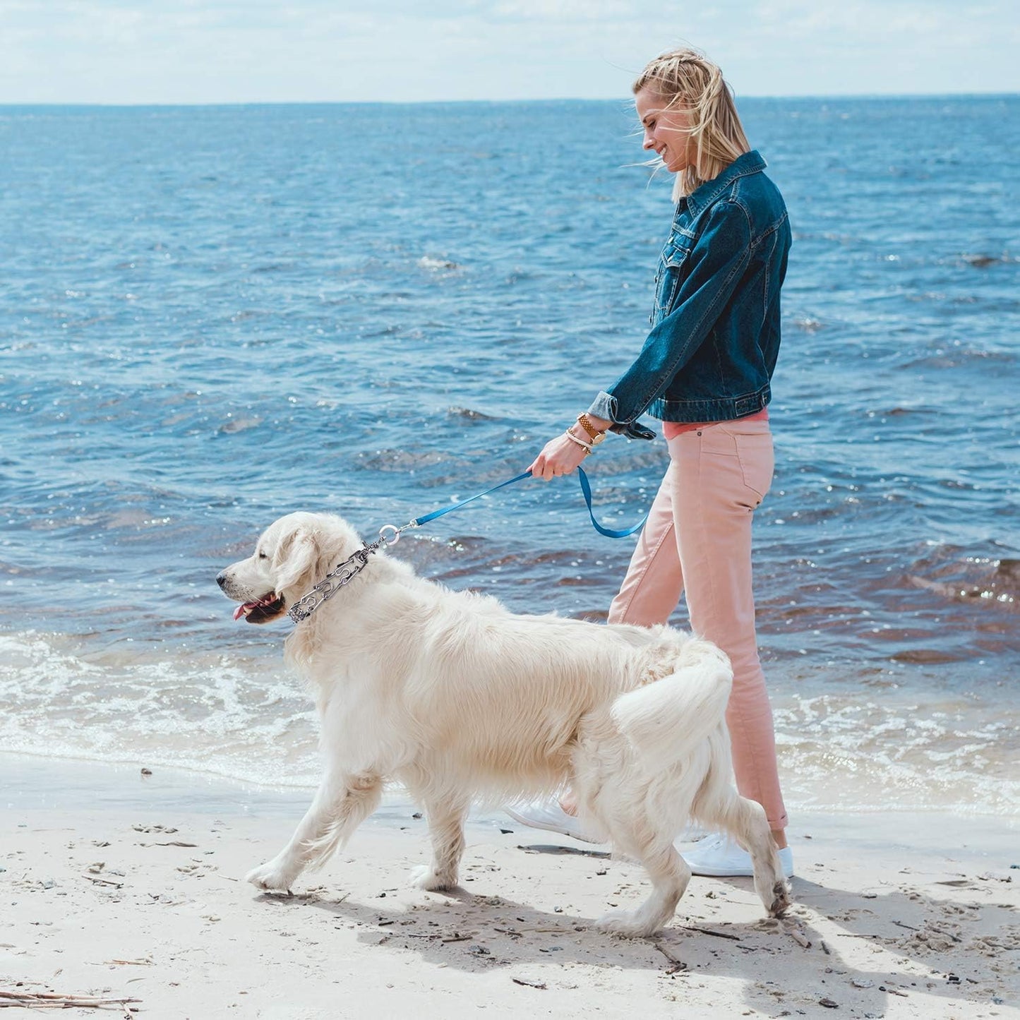 Aheasoun Prong Collars for Dogs, No Pull Dog Collar, Dog Training Collar for Large Medium Small Dogs, Stainless Steel Adjustable with Comfort Rubber Tips (Large, 4.0mm, 23.6-Inch)