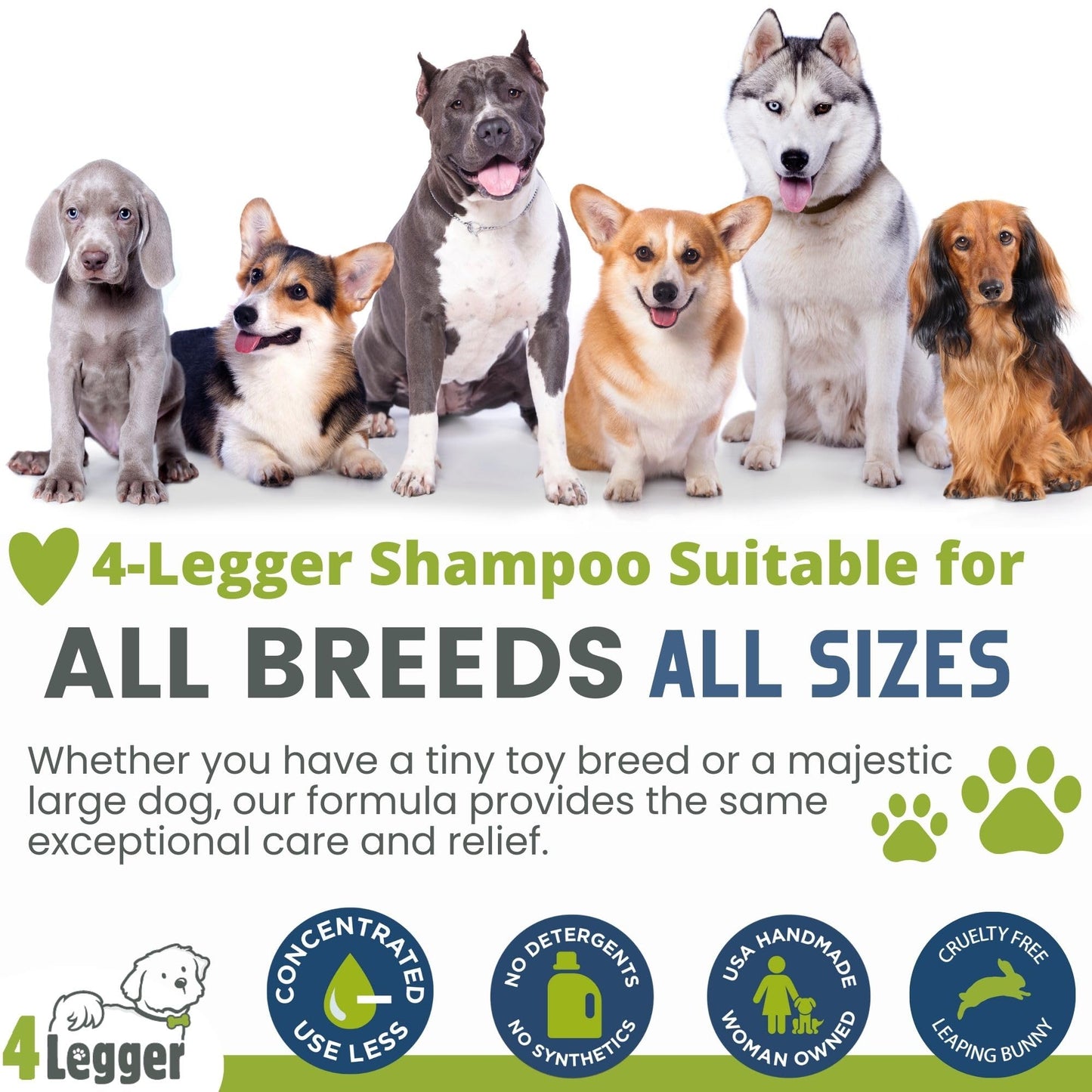 4-Legger Certified Organic Dog Shampoo - All Natural and Hypoallergenic with Aloe and Lemongrass, Soothing for Normal, Dry, Itchy or Allergy Sensitive Skin - Biodegradable - Made in USA - 16 oz