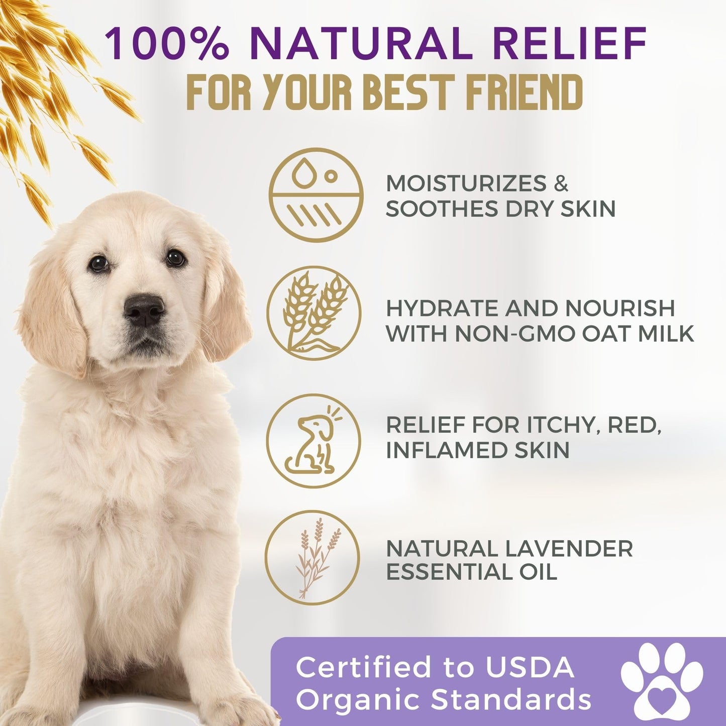 4Legger All Natural Organic Oatmeal Dog Shampoo for Itchy Skin with Aloe, Coconut & Lavender Essential Oil, Hypoallergenic, Moisturizing for Normal, Dry, Itchy, or Sensitive Skin, USA Made, 16 oz