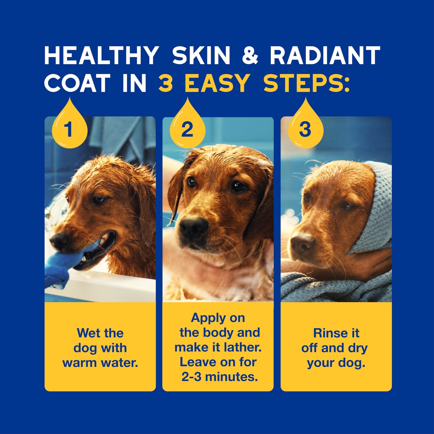 DOUXO® Skin & Coat SPA - Ultra-Safe Oatmeal Dog Shampoo, 16 fl oz, Cleans and Deeply Hydrates The Skin, Enhances The Coat, Leaves The Coat Soft and Radiant, Skin-Friendly Formula
