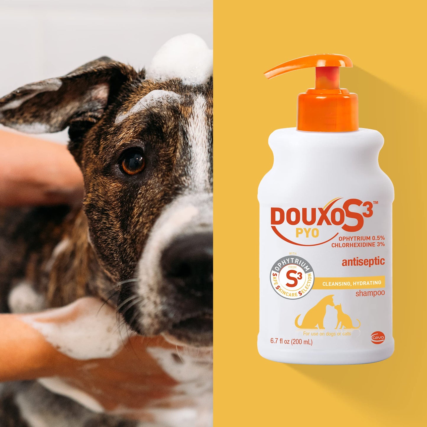 Douxo S3 Pyo Shampoo, Contains 3% Chlorhexidine & 0.5% Ophytrium, Antiseptic & Hydrating, For Bacterial or Yeast Skin Infections, For Dogs and Cats, 6.7 fl. oz. (200mL)