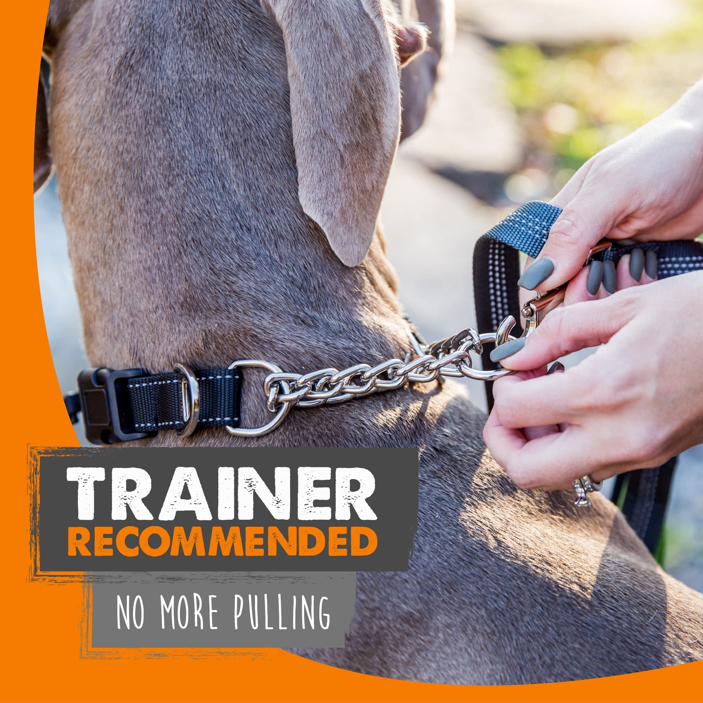 Mighty Paw Martingale Dog Collar 2.0 | Trainer Approved Limited Slip Collar with Stainless Steel Chain & Heavy Duty Buckle - Modified Cinch Collar for Gentle & Effective Pet Training - Large, Black