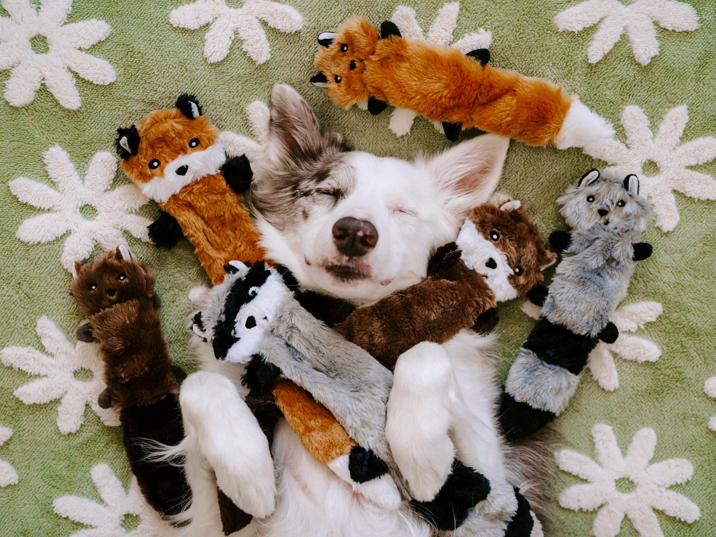 ZippyPaws Skinny Peltz - No Stuffing Dog Toy Pack to Keep Them Busy, for Small and Medium Dogs, Squeaky Pet Toys, Unstuffed Chew Toys, Soft Plush Variety Pack, Fox, Raccoon, and Squirrel - 11"