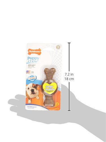 Nylabone Ring Bone Chew Toy for Puppies, Puppy Teething Toys, Puppy Enrichment Toys, Chicken Flavor, X-Small Dogs - Up to 15 lbs, 1 Count