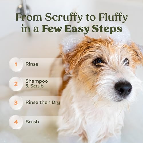 PAWFUME Deshedding Dog Shampoo and Conditioner, Show Dog, 1-Pack – Nourish & Detangle for Silky Soft Coat – Probiotic, Deep-Cleaning, pH-Balanced Formula – Salon-Quality Shampoo for Dogs