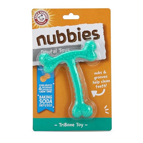 Arm & Hammer Nubbies T-Bone Dental Dog Chew Toys, Peanut Butter Flavor - Durable Nylon Chewing Toys for Dogs, Done Bone Toy, Teeth Cleaning Bones for Chewers Help Remove Plaque and Tartar