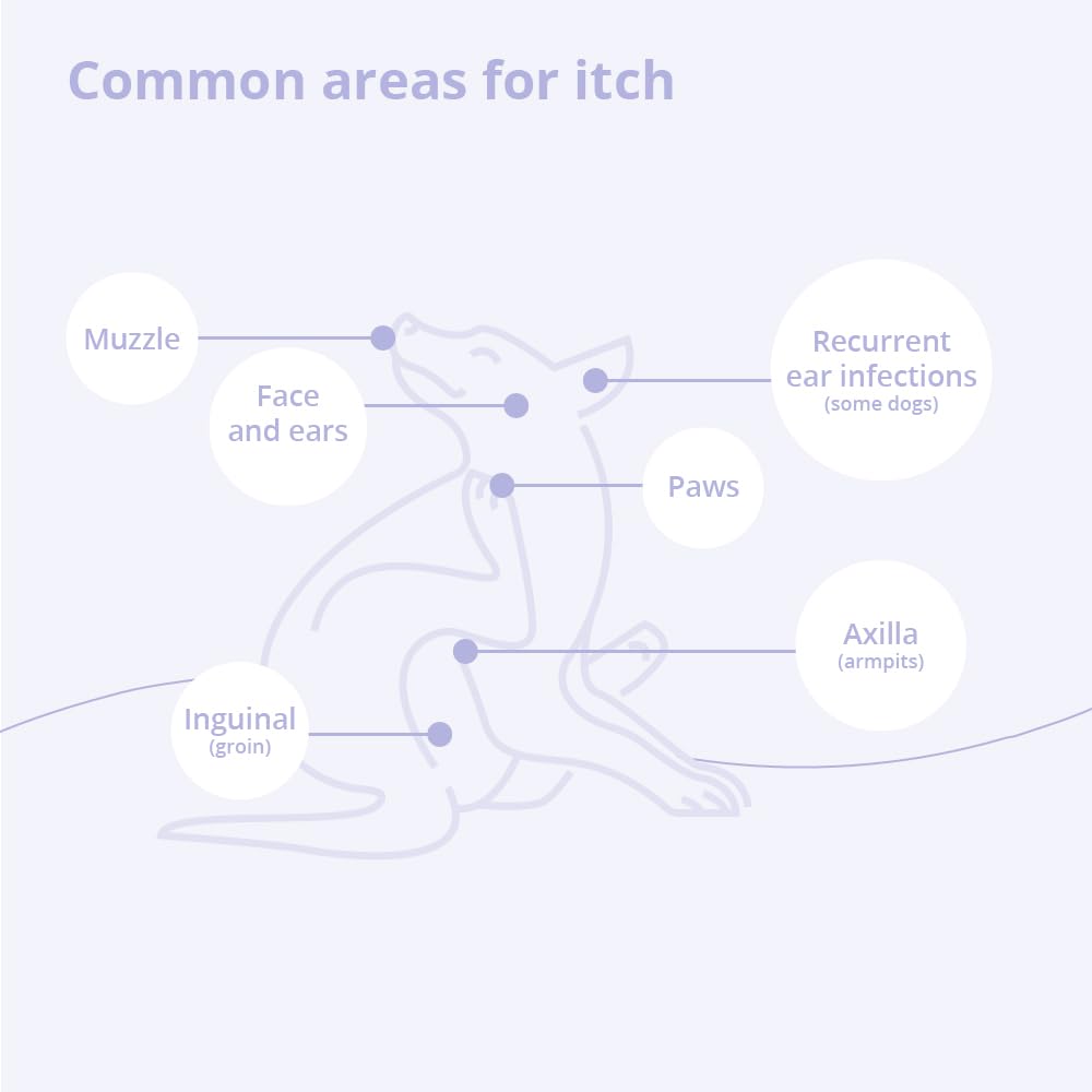 Mal-A-Ket Shampoo for Dogs and Cats, 8 oz