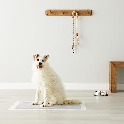 Amazon Basics Carbon Odor-Control Dog and Puppy Pee Pads, 5-Layer Leak-Proof Super Absorbent, Quick-Dry Surface, Potty Training, X-Large (28x34"), 50 Count, Gray