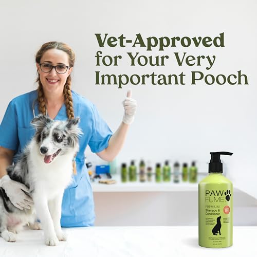 PAWFUME Deshedding Dog Shampoo and Conditioner, Show Dog, 1-Pack – Nourish & Detangle for Silky Soft Coat – Probiotic, Deep-Cleaning, pH-Balanced Formula – Salon-Quality Shampoo for Dogs