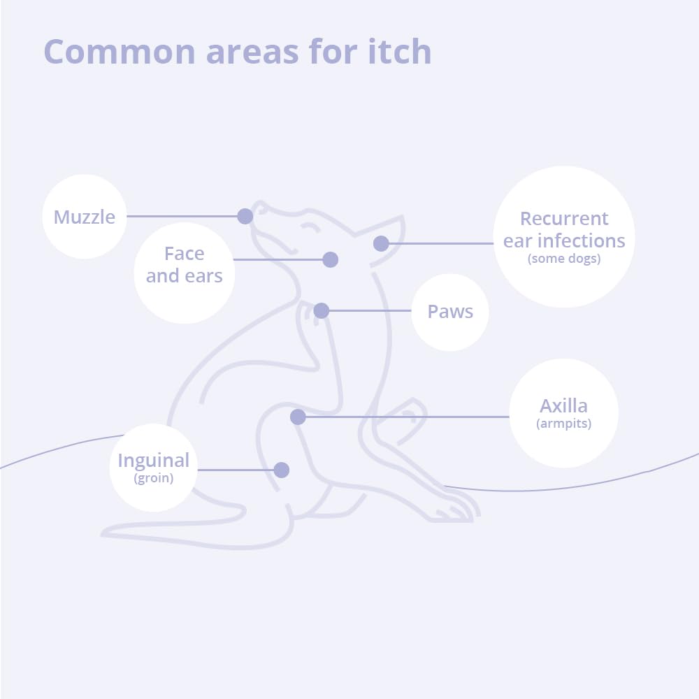 TrizCHLOR 4 Shampoo for Dogs, Cats and Horses, 16 Ounce