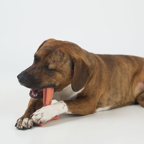 SPOT Bam-Bones Plus T-Bone, Bamboo Fiber & Nylon Dog Chew, Durable for Aggressive Chewers, Non-Splintering, for Adult Dogs & Teething Puppies Under 60lbs, 6in, Beef Flavor