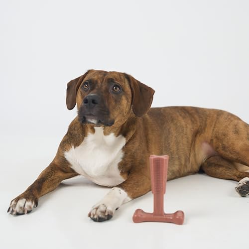 SPOT Bam-Bones Plus T-Bone, Bamboo Fiber & Nylon Dog Chew, Durable for Aggressive Chewers, Non-Splintering, for Adult Dogs & Teething Puppies Under 60lbs, 6in, Beef Flavor