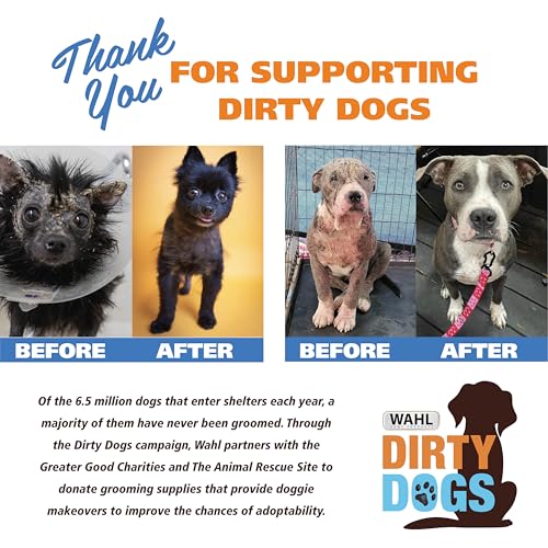 Wahl USA Dry Skin & Itch Relief Pet Shampoo for Dogs – Oatmeal Formula with Coconut Lime Verbena Scent & Pet Friendly Formula, 24 Oz - Model 820004A