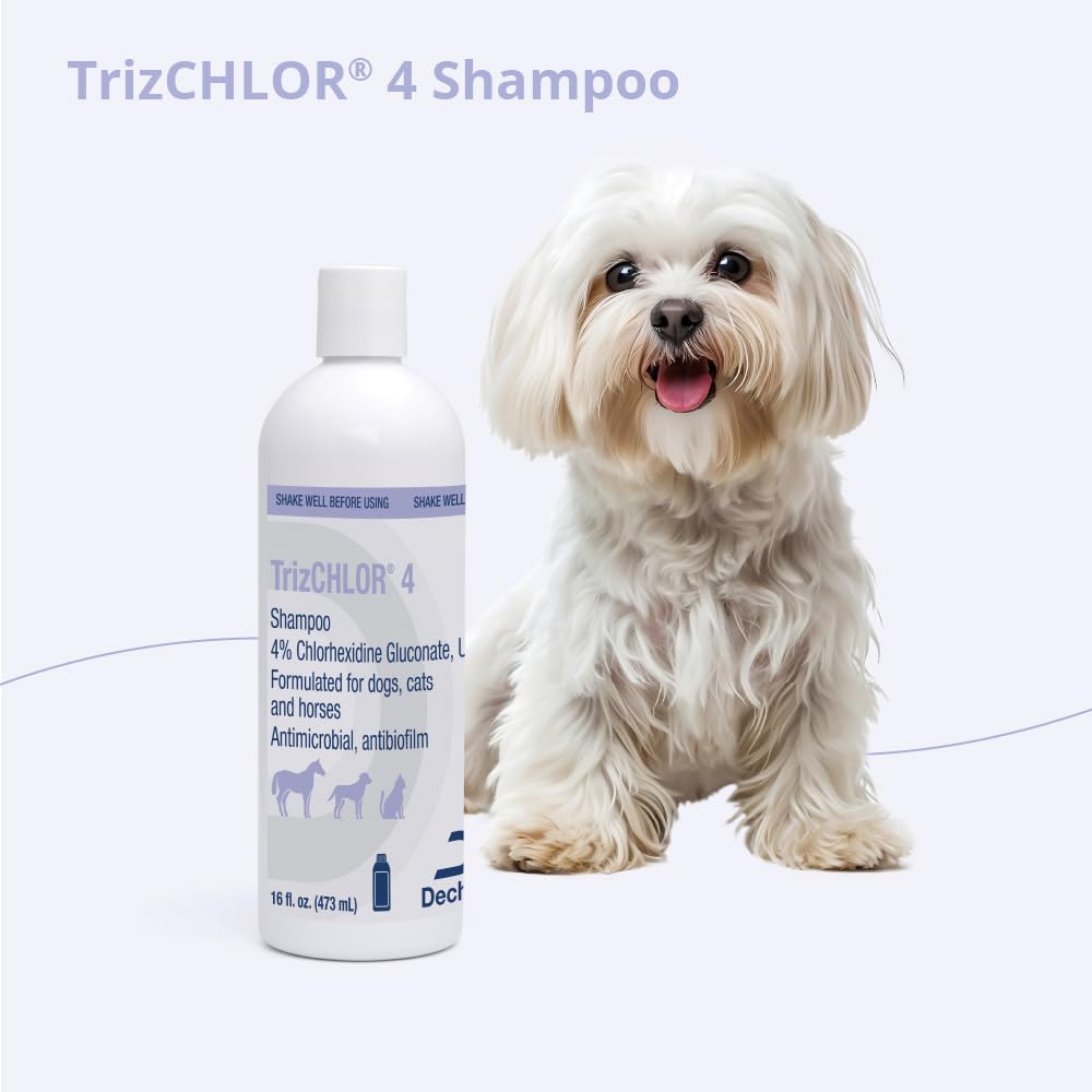 TrizCHLOR 4 Shampoo for Dogs, Cats and Horses, 16 Ounce