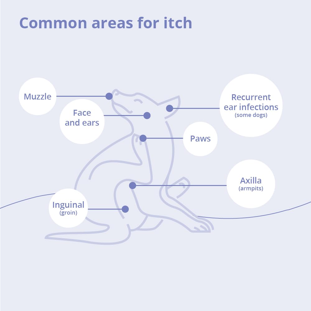 MiconaHex+Triz Shampoo for Dogs, Cats and Horses, 8 oz