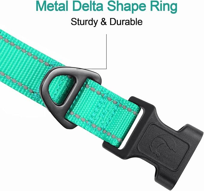 Joytale Reflective Dog Collar,Soft Neoprene Padded Breathable Nylon Pet Collar Adjustable for Medium Dogs,Teal,M