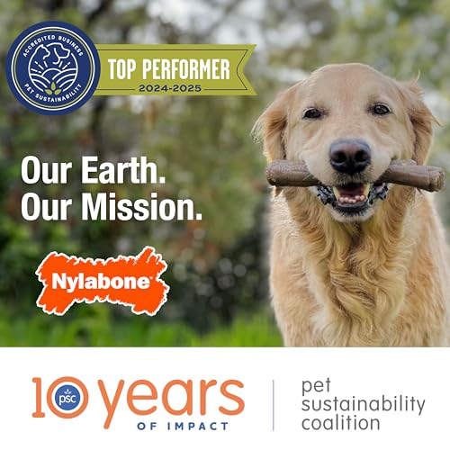 Nylabone Ring Bone Chew Toy for Puppies, Puppy Teething Toys, Puppy Enrichment Toys, Chicken Flavor, X-Small Dogs - Up to 15 lbs, 1 Count