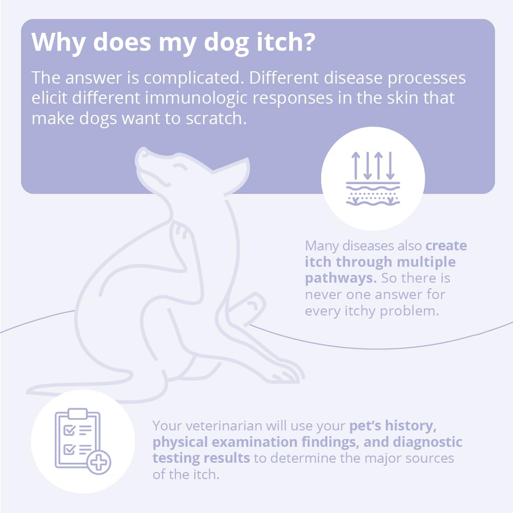 TrizCHLOR 4 Shampoo for Dogs, Cats and Horses, 16 Ounce