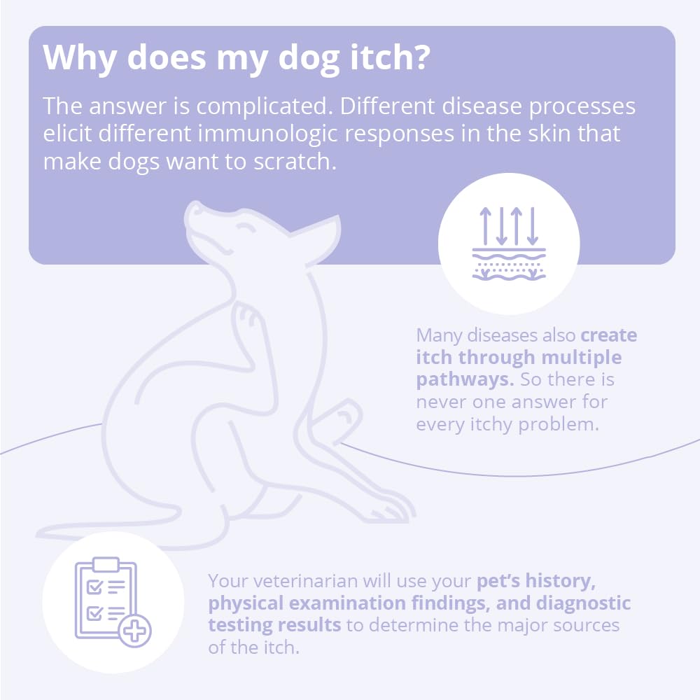 Mal-A-Ket Shampoo for Dogs and Cats, 8 oz