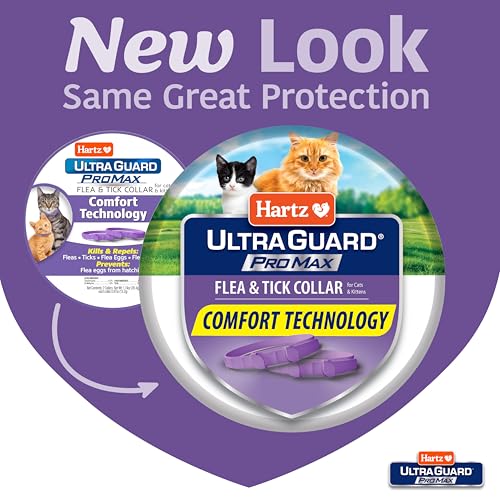 Hartz UltraGuard ProMax Flea & Tick Collar for Cats I 14 Months Protection I Soft & Comfortable | Flea & Tick Prevention I 2 Pack