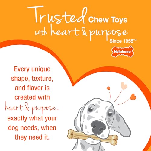 Nylabone Textured Ring Power Chew Toy for Small Dogs, Durable Dog Toys for Aggressive Chewers, Strong Dog Chew Bones To Keep Them Busy, Flavor Medley, Small - Up to 25 lbs, 1 Count