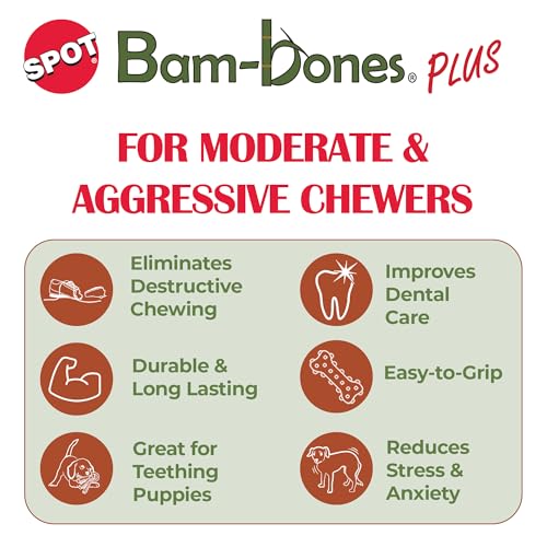 SPOT Bam-Bones Plus T-Bone, Bamboo Fiber & Nylon Dog Chew, Durable for Aggressive Chewers, Non-Splintering, for Adult Dogs & Teething Puppies Under 60lbs, 6in, Beef Flavor
