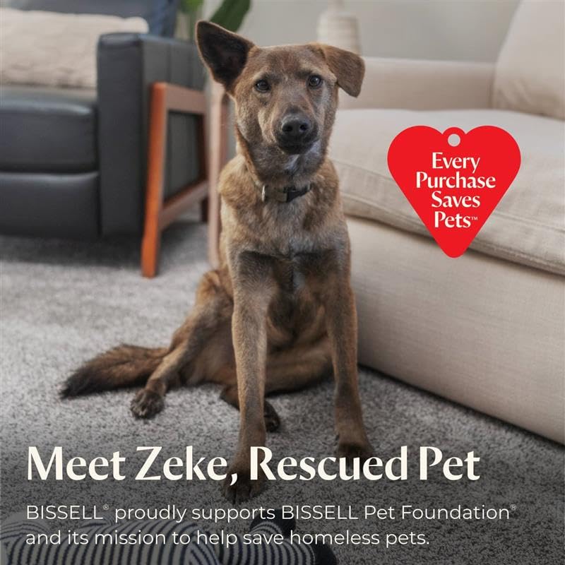 BISSELL Little Green Pet Pro Portable Carpet and Upholstery Deep Cleaner, Car/Auto Detailer with Self-Cleaning Tough Stain, Pet Hair Removal, Crevice Tool (3909)