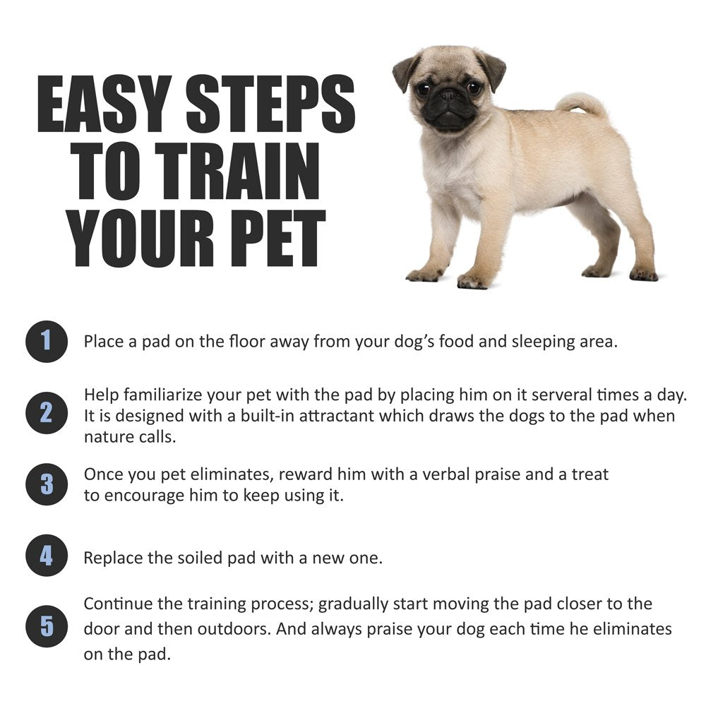 BV Puppy Pads XL 40 Count 28"x34" - Leak-Proof Pee Pads for Dogs with 6-Layer Design, Rapid Dry Sheet & Attractant - Dog Pad Extra Large with Odor Control - Perfect for Big Dogs & Indoor Use