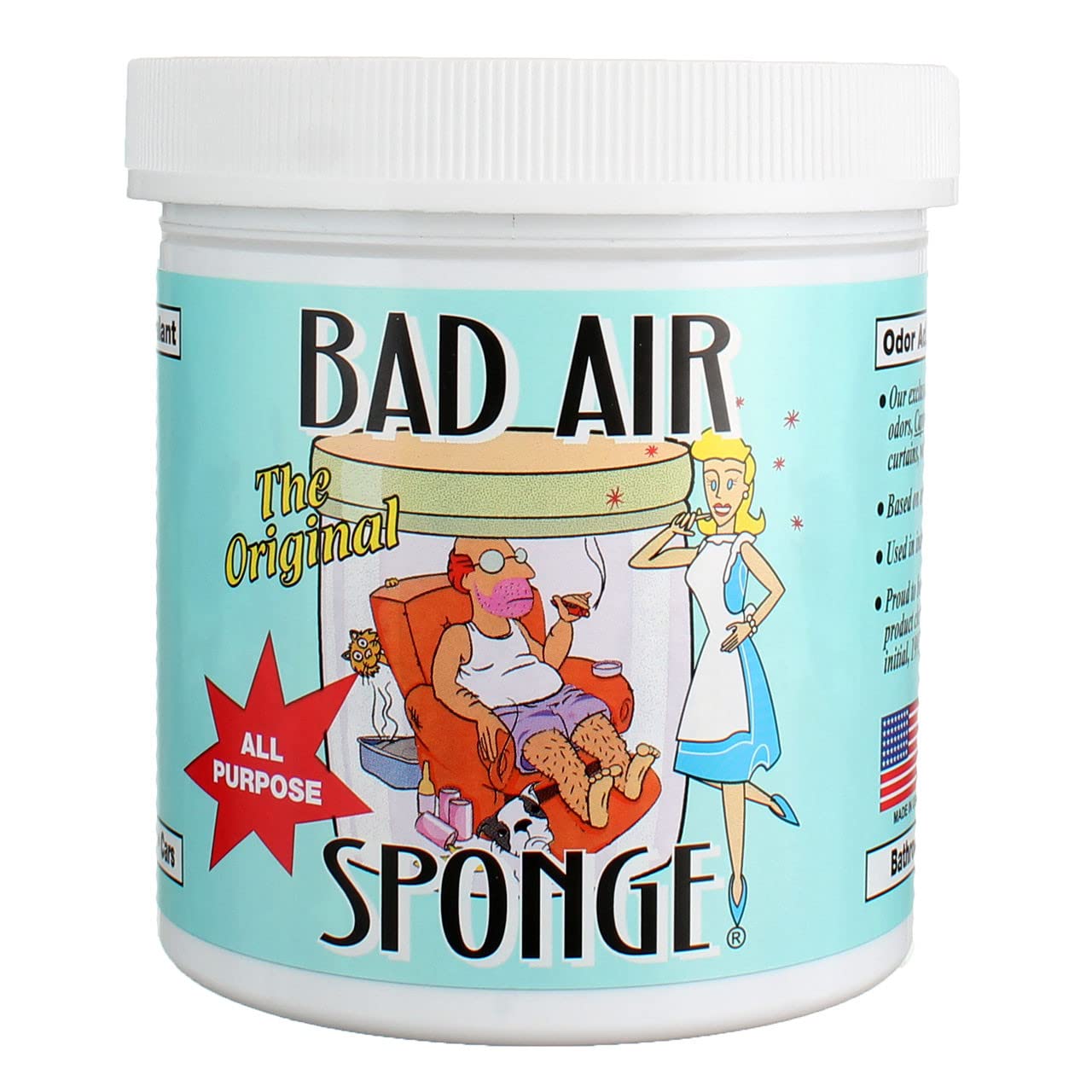The Original Bad Air Sponge with Activated Charcoal- All Purpose Odor Neutralizer & Eliminator, 14oz (Pack of 12)