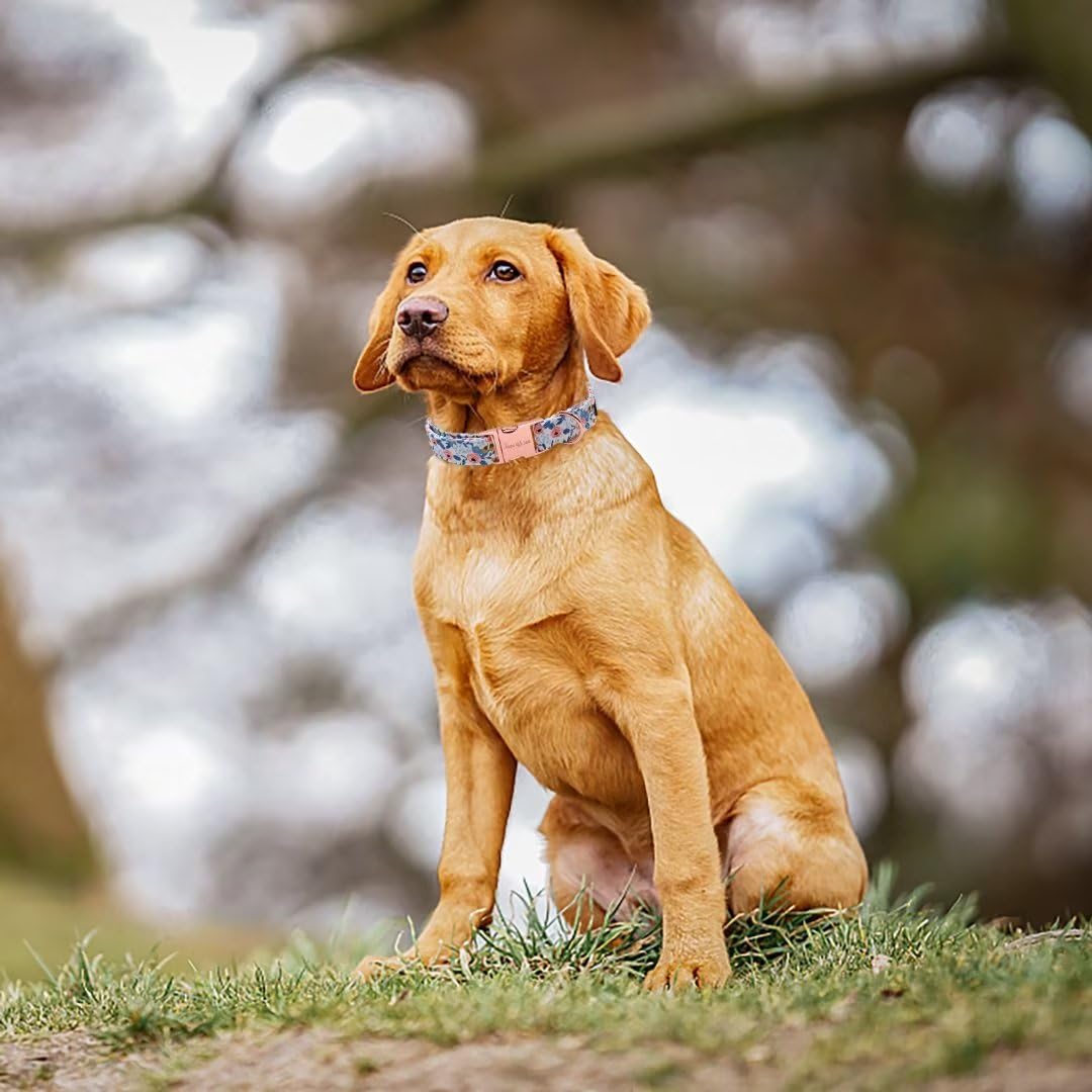 Unique Style Paws Dog Collar With Metal Buckle - Red Rose Flower Gift for Small, Medium, Large Boys Girls Dogs - Durable and Cute