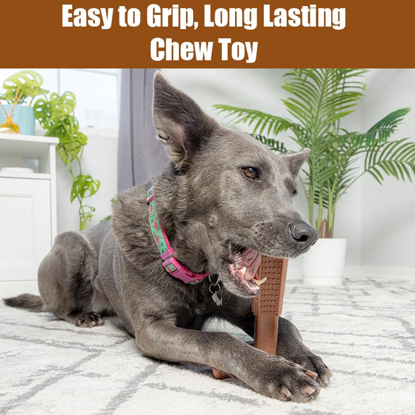 SPOT Bam-Bones Plus T-Bone, Bamboo Fiber & Nylon Dog Chew, Durable for Aggressive Chewers, Non-Splintering, for Adult Dogs & Teething Puppies Under 60lbs, 6in, Beef Flavor