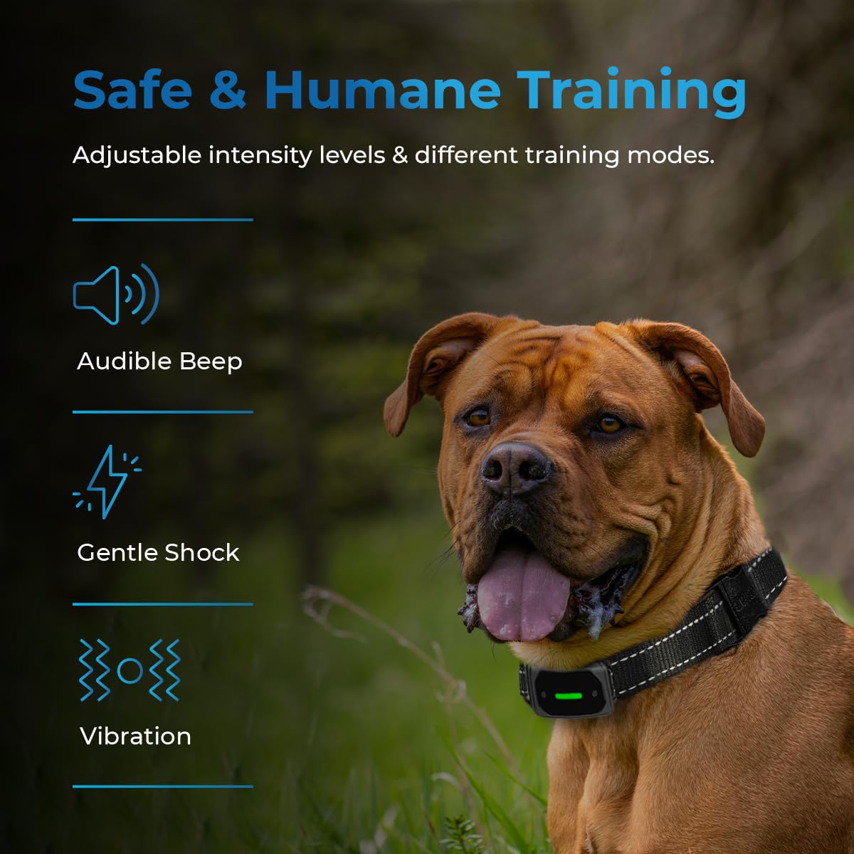 AutoSky Remote Controlled Anti-Bark Collar - Training Collar with Remote Waterproof with Training Modes, Rechargeable E-Collar for All Breeds