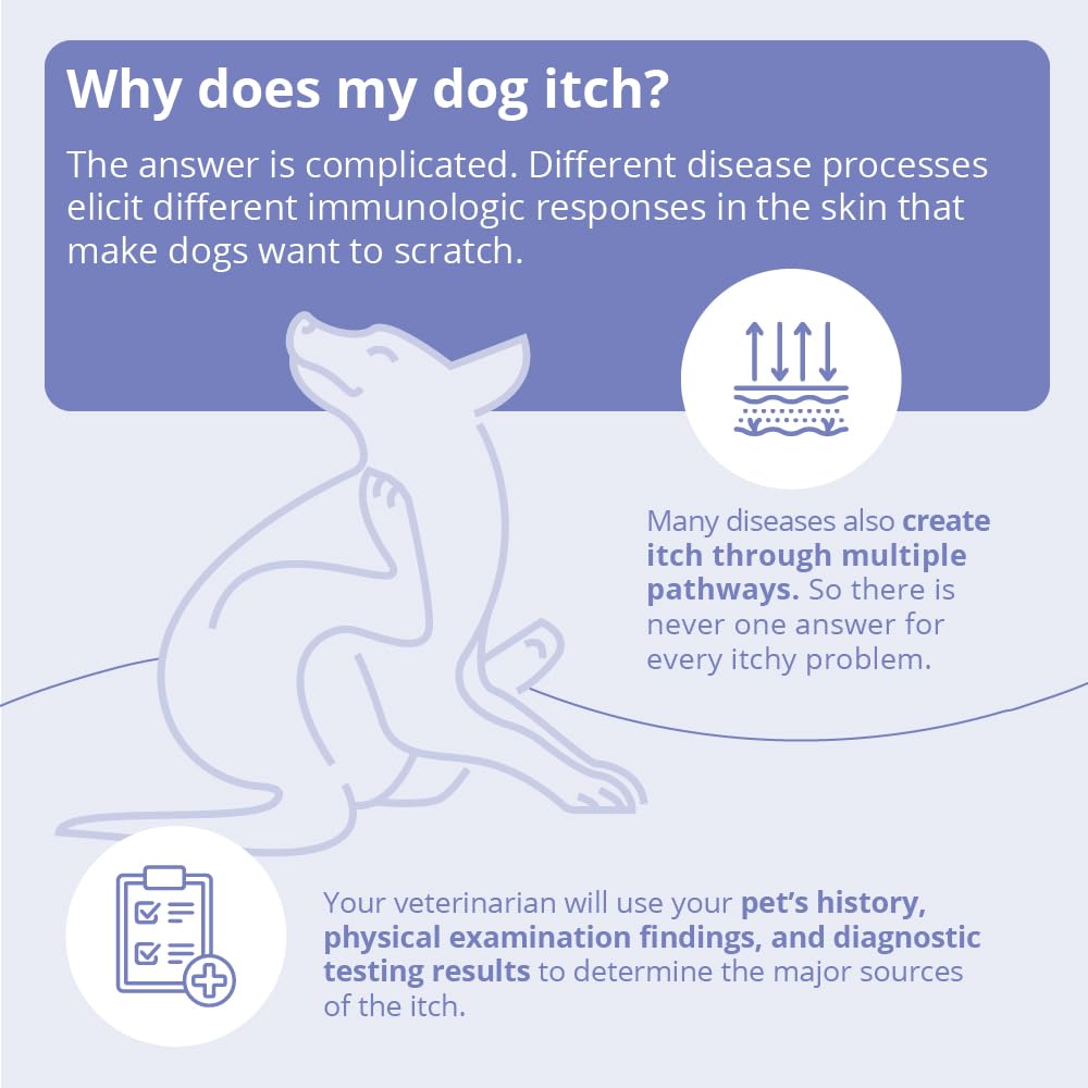 MiconaHex+Triz Shampoo for Dogs, Cats and Horses, 8 oz