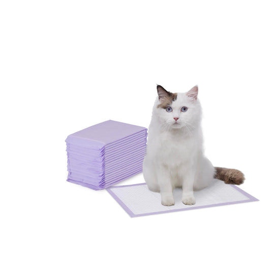 Amazon Basics Cat Litters Pee Pads, 20 Count, Universal Fit for Litter Box, Odor Control, Unscented, Purple and White