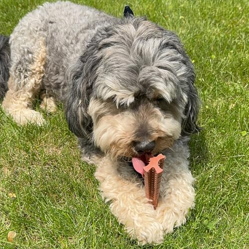 SPOT Bam-Bones Plus T-Bone, Bamboo Fiber & Nylon Dog Chew, Durable for Aggressive Chewers, Non-Splintering, for Adult Dogs & Teething Puppies Under 60lbs, 6in, Beef Flavor