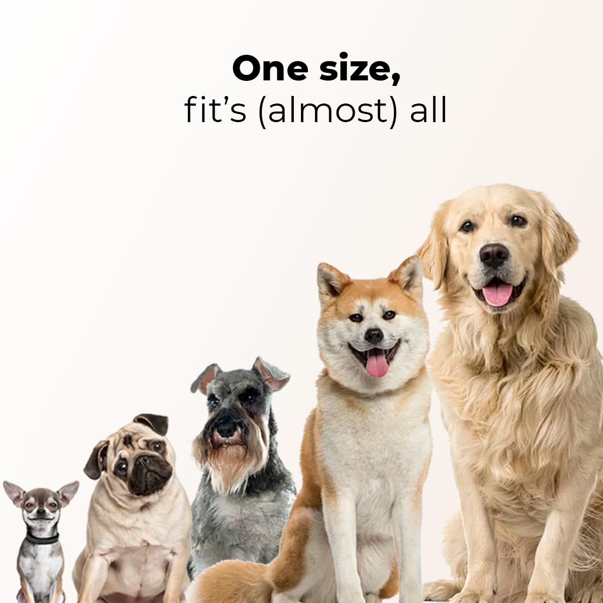 AutoSky Pets Smart Anti-Barking Collar - Training Collar with 5 Adjustable Sensitivity Beep Vibration Shock, Bark Collar for Large Medium Small Dogs (Black)