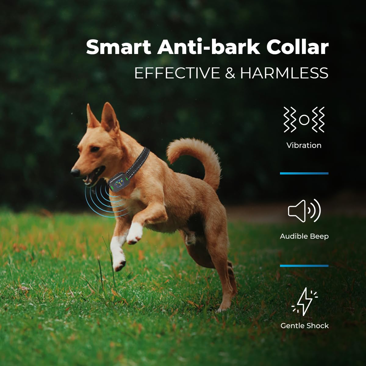 AutoSky Pets Smart Anti-Barking Collar - Training Collar with 5 Adjustable Sensitivity Beep Vibration Shock, Bark Collar for Large Medium Small Dogs (Black)