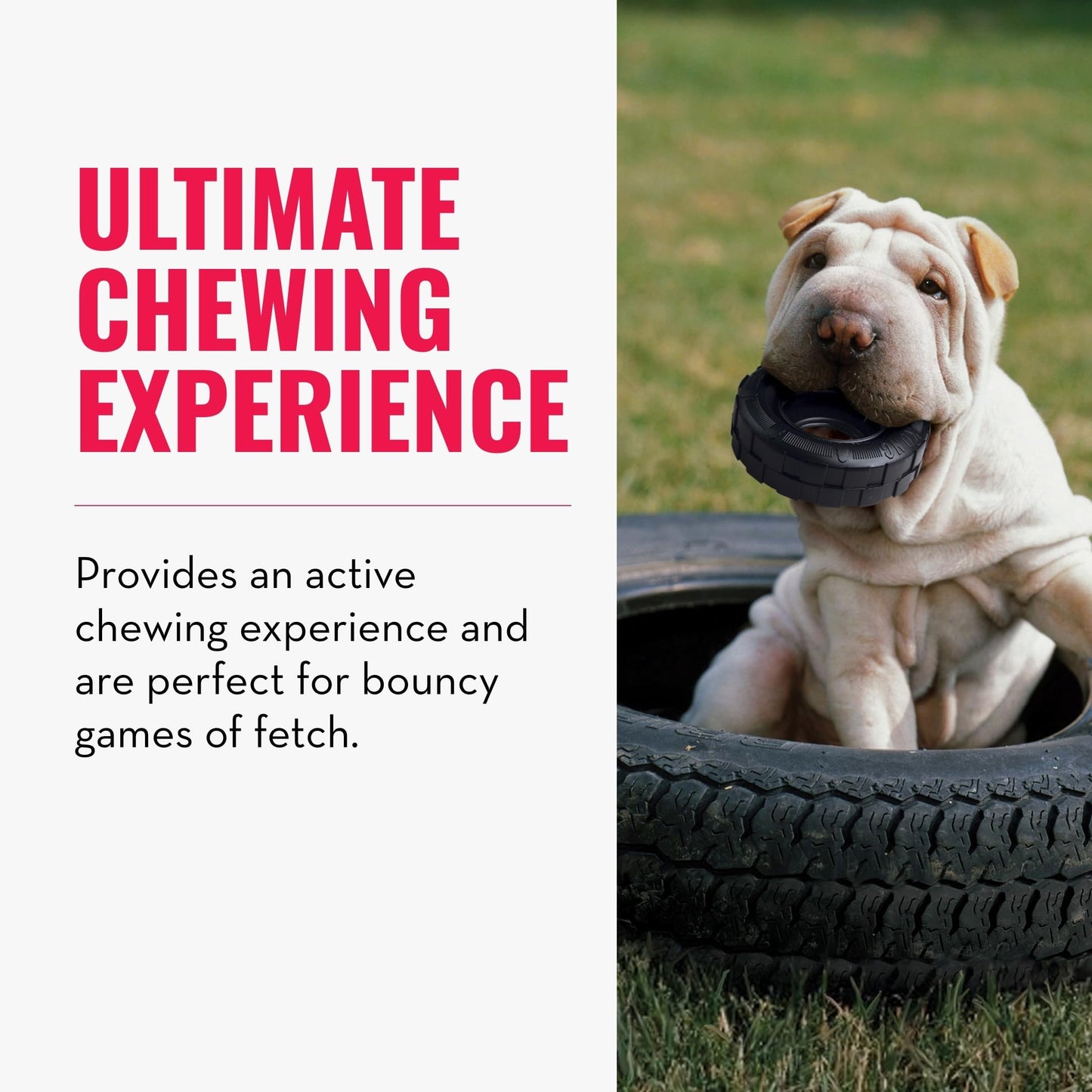 KONG Extreme Tires - KONG's Most Durable Natural Rubber Chew & Fetch Toy - Treat Dispenser Dog Tire Toy - Pet Supplies for Outdoor & Indoor Play - For Medium/Large Dogs