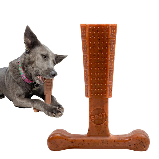 SPOT Bam-Bones Plus T-Bone, Bamboo Fiber & Nylon Dog Chew, Durable for Aggressive Chewers, Non-Splintering, for Adult Dogs & Teething Puppies Under 60lbs, 6in, Beef Flavor