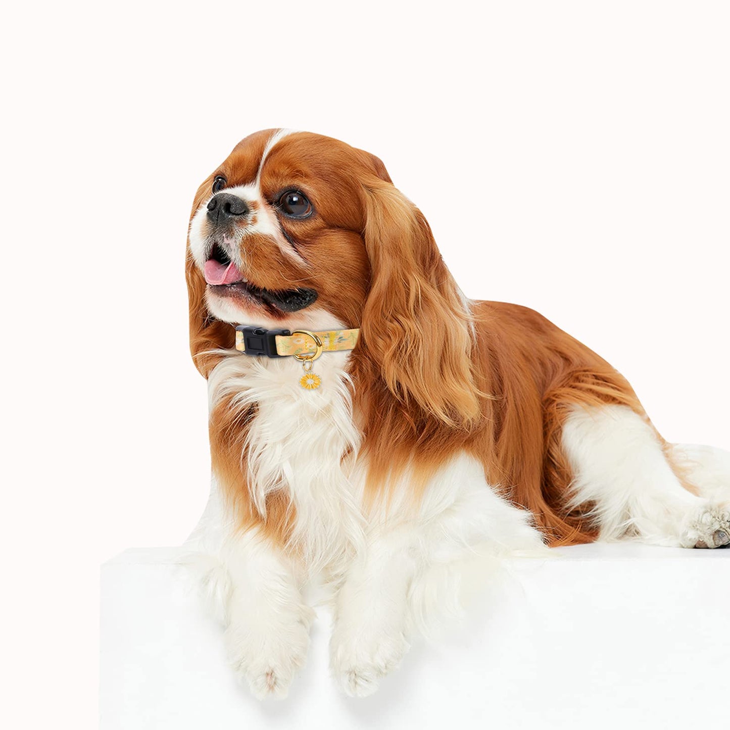 Cotton Handmade Dog Collar for Small Medium Large Dogs,Yellow Daisy with Pendant Cute Dog Collars,Ideal for Girl Dogs Boy Dogs (Medium)