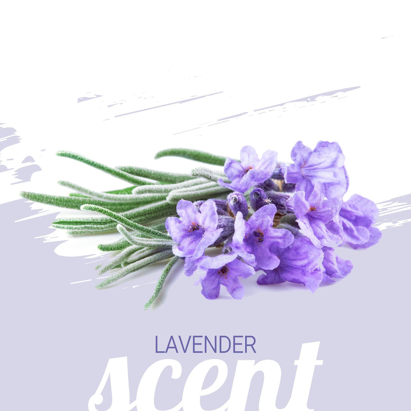 Green Groom French Lavender & Chamomile Aromatherapy Dog Shampoo, 1 Gallon - Soothing and Calming, Chamomile Infused, Natural Ingredients, Professional Grooming Grade, Deodorizing