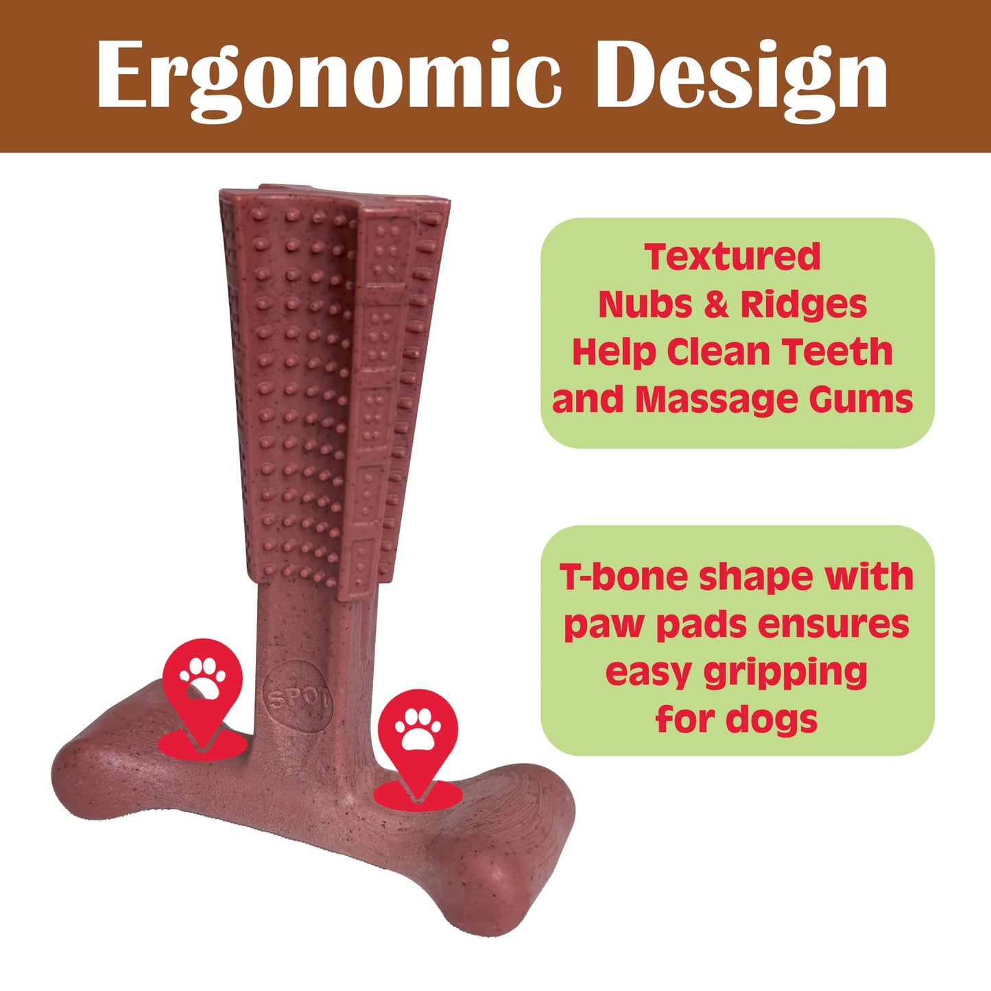 SPOT Bam-Bones Plus T-Bone, Bamboo Fiber & Nylon Dog Chew, Durable for Aggressive Chewers, Non-Splintering, for Adult Dogs & Teething Puppies Under 60lbs, 6in, Beef Flavor