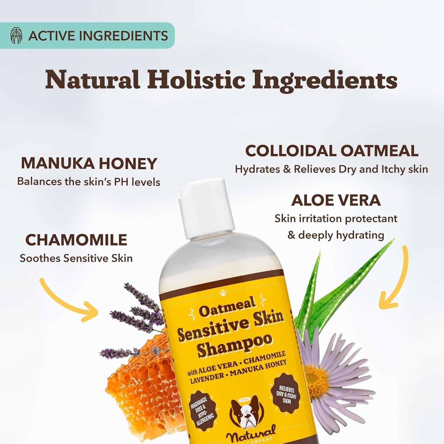 Natural Dog Company Oatmeal Dog Shampoo – Anti-Itch Shampoo for Dogs with Sensitive Skin, Aloe & Oatmeal Formula for Itchy Skin & Dandruff Relief, Safe for Puppies, 12 oz