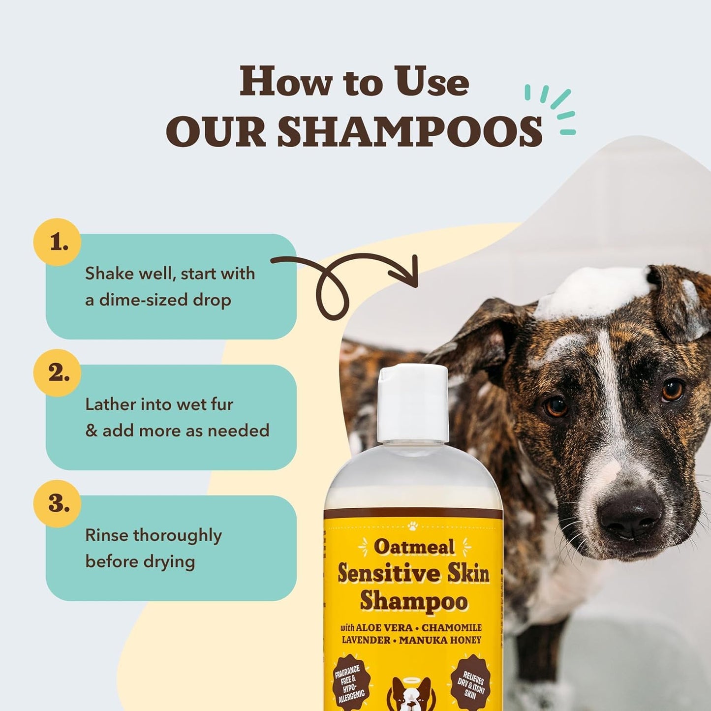 Natural Dog Company Oatmeal Dog Shampoo – Anti-Itch Shampoo for Dogs with Sensitive Skin, Aloe & Oatmeal Formula for Itchy Skin & Dandruff Relief, Safe for Puppies, 12 oz